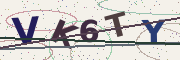 Security check: type the characters in this image