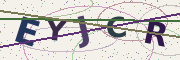 Security check: type the characters in this image